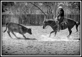 2nd Place Dorothy Bengtson